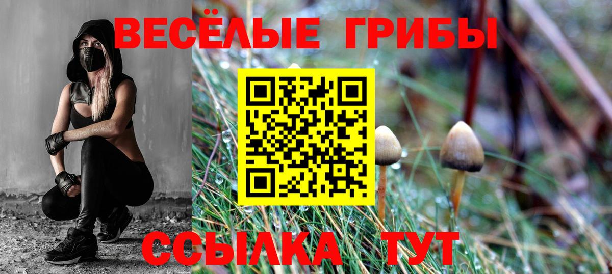 Галлюциногенные грибы MAGIC MUSHROOMS  Галлюциногенные грибы прущие грибы  Вход с VPN  сколько стоит  Нефтекамск 