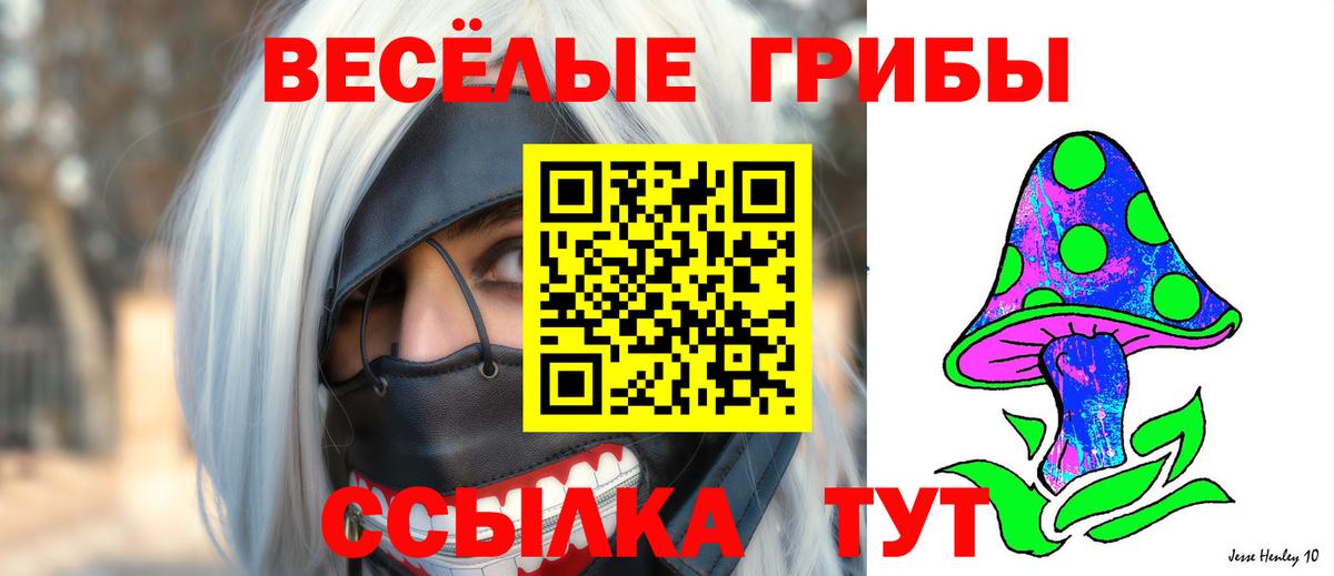 Псилоцибиновые грибы GOLDEN TEACHER Нефтекамск